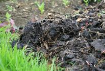 Осенняя обработка почвы: удаление сорняков, рыхление, внесение удобрений Что необходимо сделать после работы с почвой